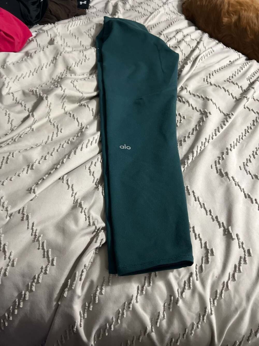 Alo Yoga High-Waist Airbrush Leggings in Dark Cactus